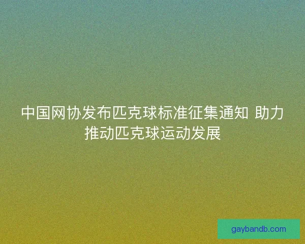 中国网协发布匹克球标准征集通知 助力推动匹克球运动发展 中国网协发布匹克球标准征集通知 助力推动匹克球运动发展