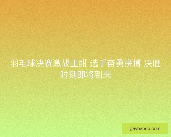 羽毛球决赛激战正酣 选手奋勇拼搏 决胜时刻即将到来