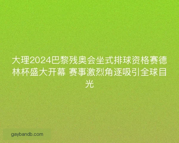 大理2024巴黎残奥会坐式排球资格赛德林杯盛大开幕 赛事激烈角逐吸引全球目光
